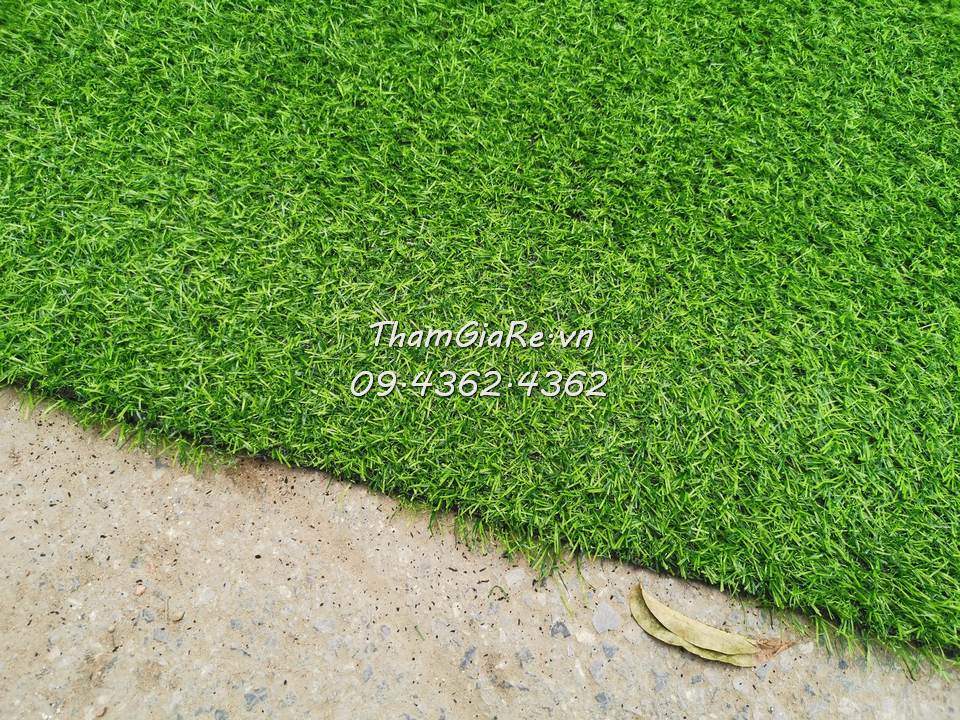 Thảm cỏ nhân tạo 2 cm loại mỏng