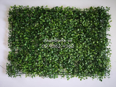 Thảm cỏ treo tường – Cỏ cải xoong