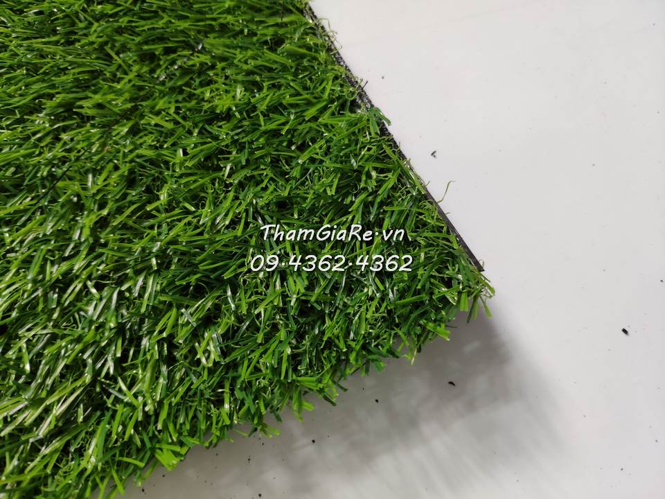 Thảm cỏ nhân tạo 2P loại dày
