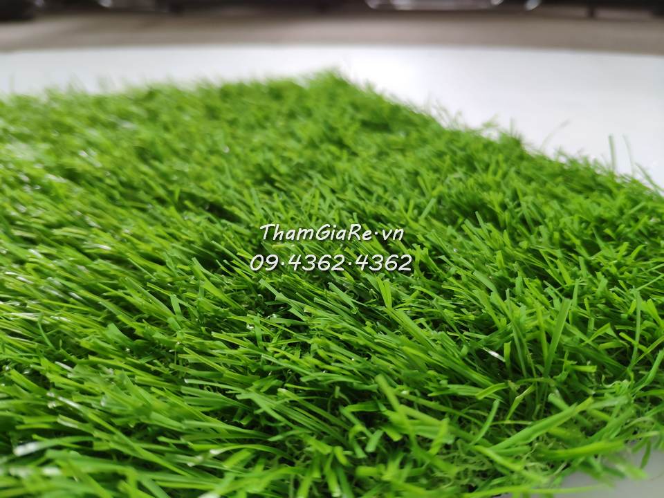 Thảm cỏ nhân tạo 3p