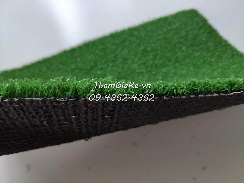 độ dày thảm cỏ sân golf trung bình 15mm 