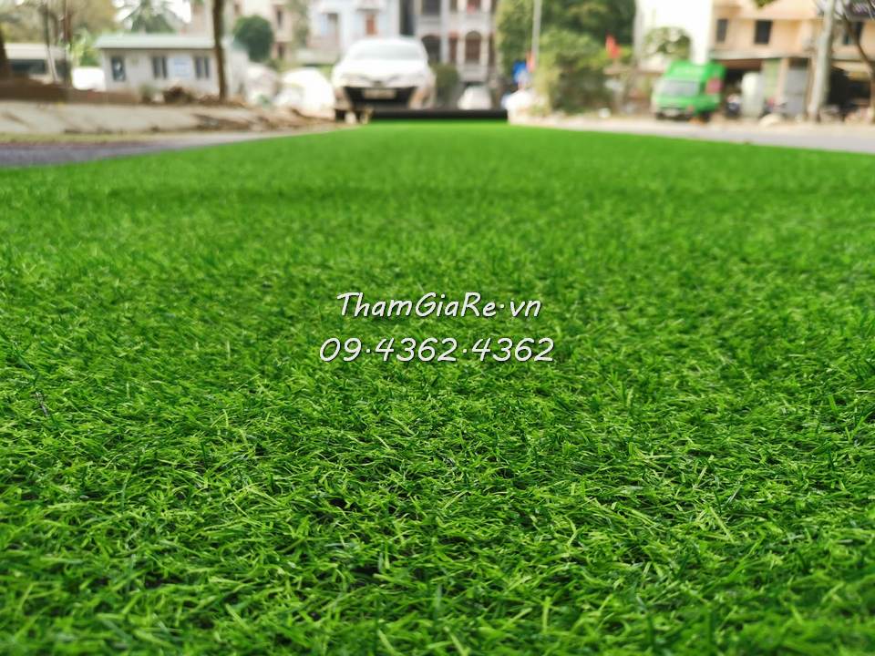 Hình ảnh thảm cỏ nhân tạo 2 phân