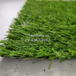 Thảm cỏ nhân tạo 2P loại dày